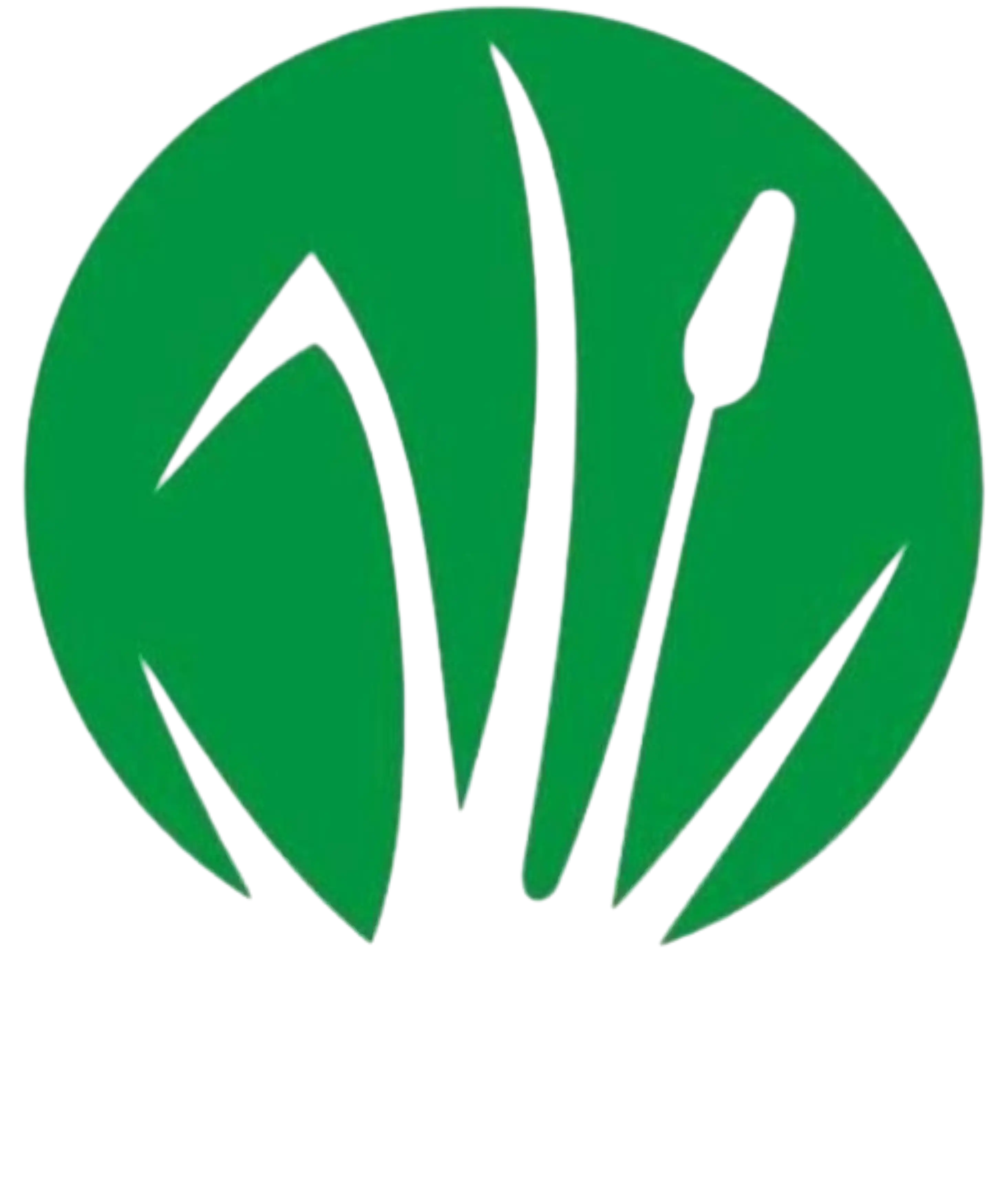 Kaushal Agro