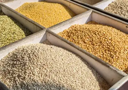 Know the importance of the role of pulses in a balanced diet