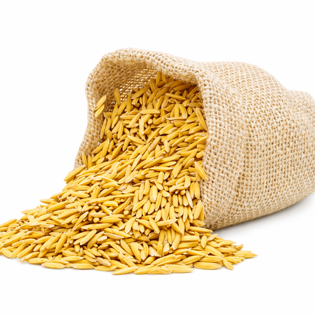 Paddy